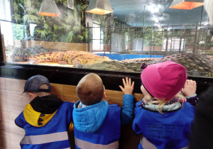 Dzieci oglądają krokodyle nilowe